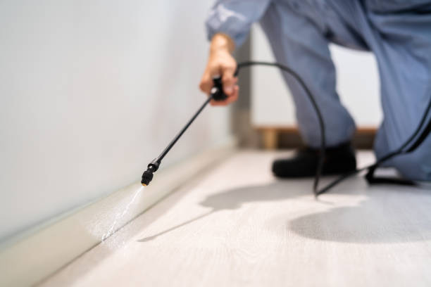 Licensed Pest Control service in Canterwood, WA - Nex Pest Control