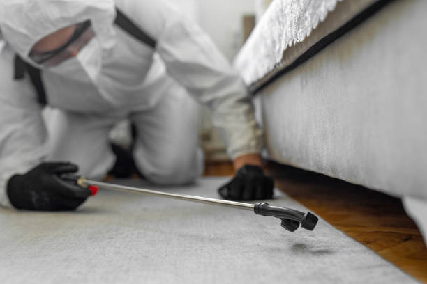 Professional Pest Control technician working in Canterwood, WA