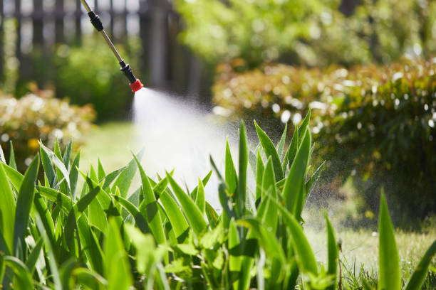 24/7 Emergency Cockroach Control experts in Canterwood, WA