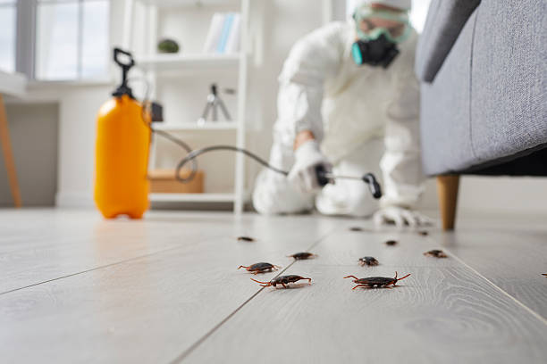 Trusted Cockroach Control service in Canterwood, WA - Nex Pest Control