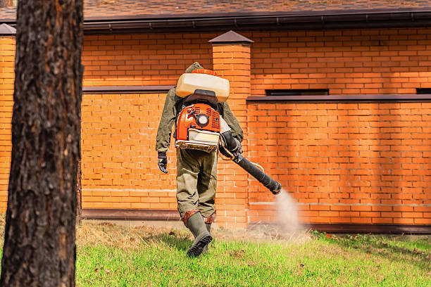 Trusted Termite Control service in Canterwood, WA - Nex Pest Control